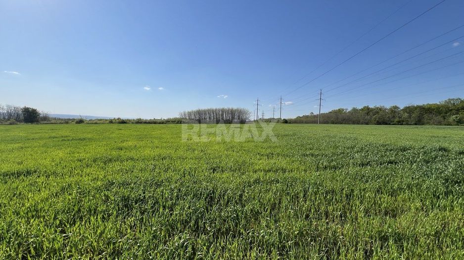 Teren agricol de 24 ari în Ghidighici – aproape de pădure, potrivit pentru investiție sau activitate agricolă - Poză 1