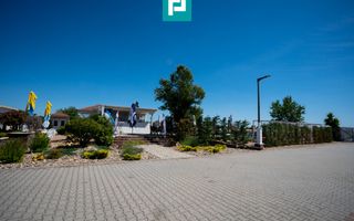 Business la cheie și 25.000 mp teren Arad-Oradea - Poză 22