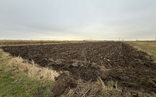 Parcela teren agricol 50 Ari - Poză 3