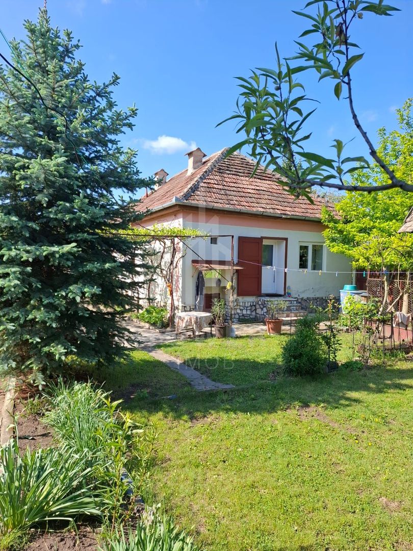 Casă cu două corpuri de clădire și teren generos – sat Boarta, județul Sibiu - Poză 1