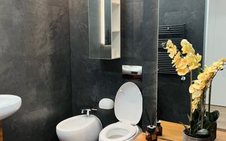Penthouse Herastrau 4 Camere Vedere Panoramica - Poză 6