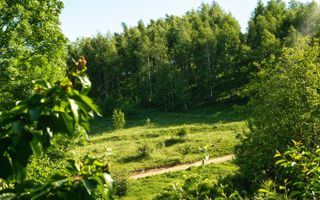 Locuință, Casă de Vacanță sau Business | 1.582 mp teren | Feleacu - Poză 27