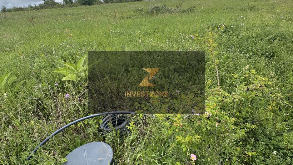 Teren intravilan Dealul Lavandei din Beldiceanu spre Săldăbagiu - Poză 5