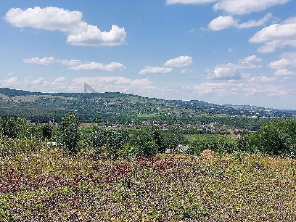 Teren intravilan, Curaturi, comuna Ciurea, 6310 mp - Poză 5