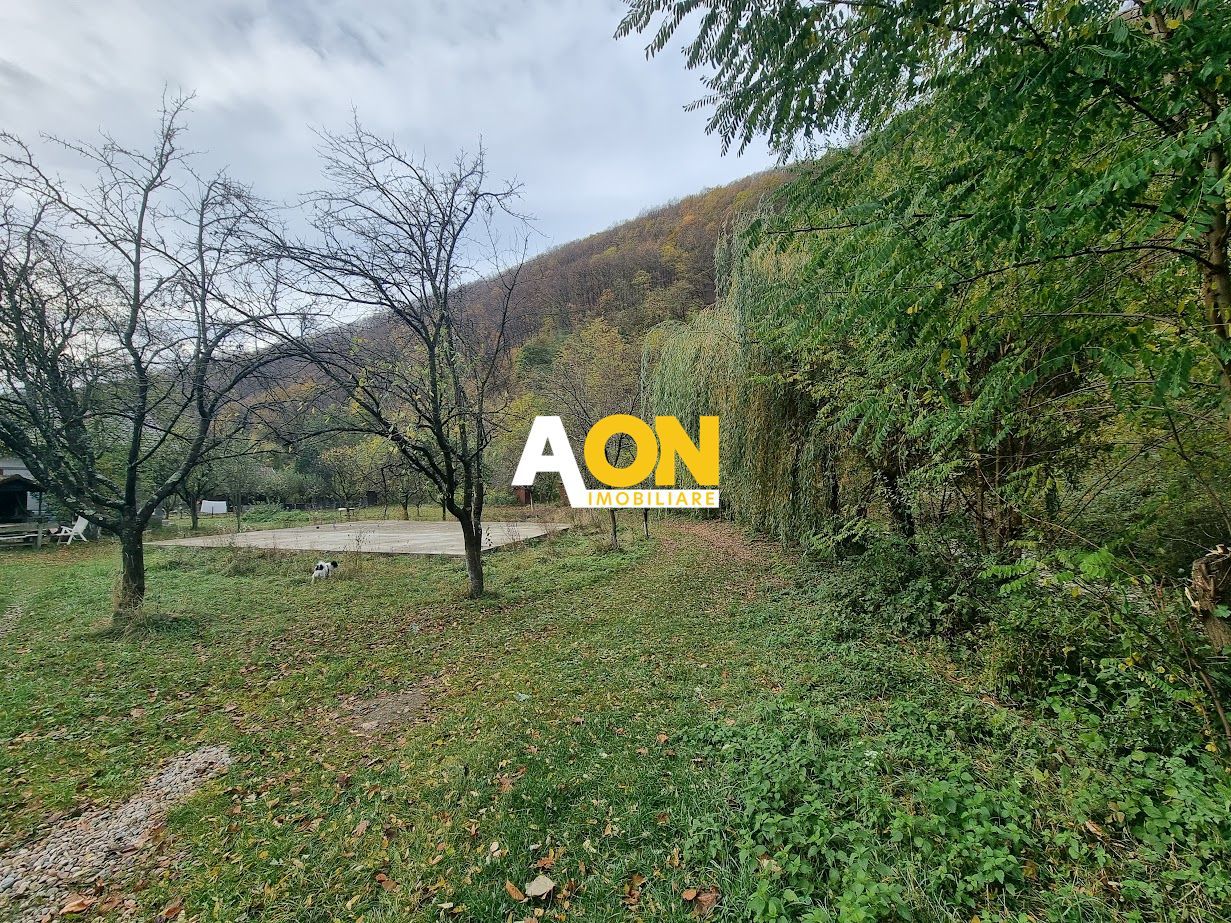 Teren Intravilan de Cabana, Placa Turnata, Ramet - Alba Iulia - Poză 1