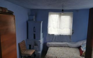 De vanzare casa in Argetoaia cu teren 7.000 mp - Poză 8