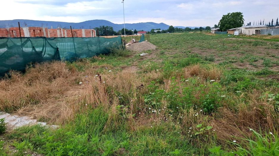 Terenuri intravilane de vânzare în Radomirești – Letea Veche, județul - Poză 7