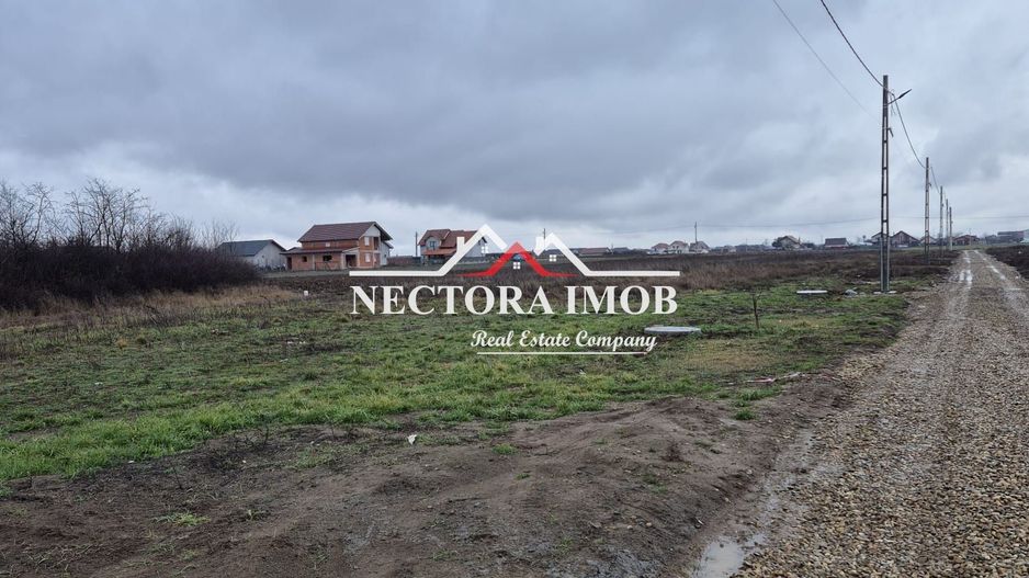 NECTORA IMOB-Teren Intravilan 501 mp, cu front 19ml, Nojorid,Utilitati - Poză 1