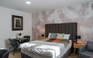 Proprietate ideala pentru investitie *354mp* inchirata pe 6 ani // Cismigiu - Poză 45