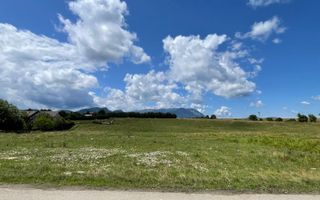 INVESTIȚIE | Teren 5000 mp PUZ APROBAT intravilan - zona Sohodol -Bran - Poză 3
