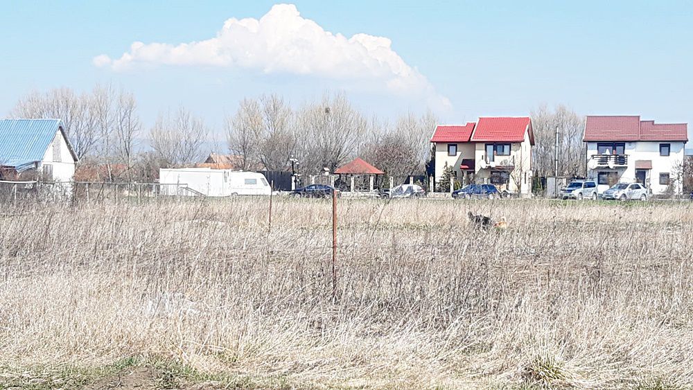 Bod, teren intravilan 700mp, pret 20 euro/mp - Poză 5