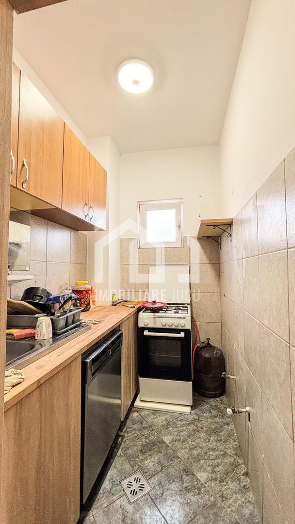 Casa individuala cu 12 camere, Potential Turistic, Visea, Comuna Jucu - Poză 24