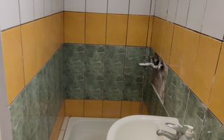 SPATIU COMERCIAL SAD  50 MP PE MALUL BEGAI - Poză 10