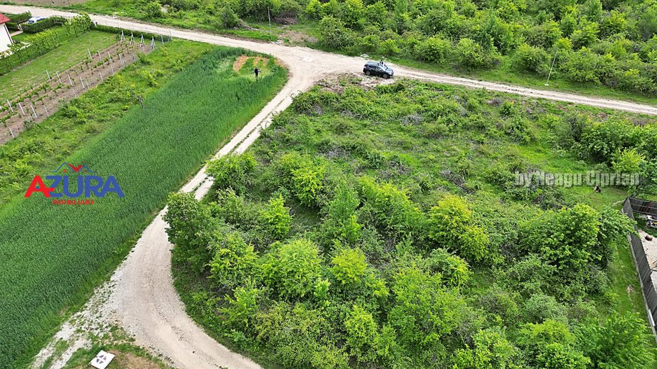 AZURA Imobiliare - Teren Mosoaia - Poză 6