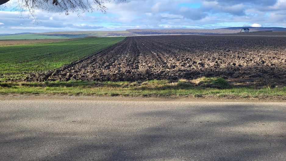 Teren 36 Ari | Mitocu Dragomirnei | 25.500 € - Poză 3