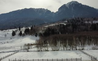 TEREN DE VÂNZARE – ZĂRNEȘTI / PLAIUL FOII – LA ASFALT - 2400 Mp - Poză 2