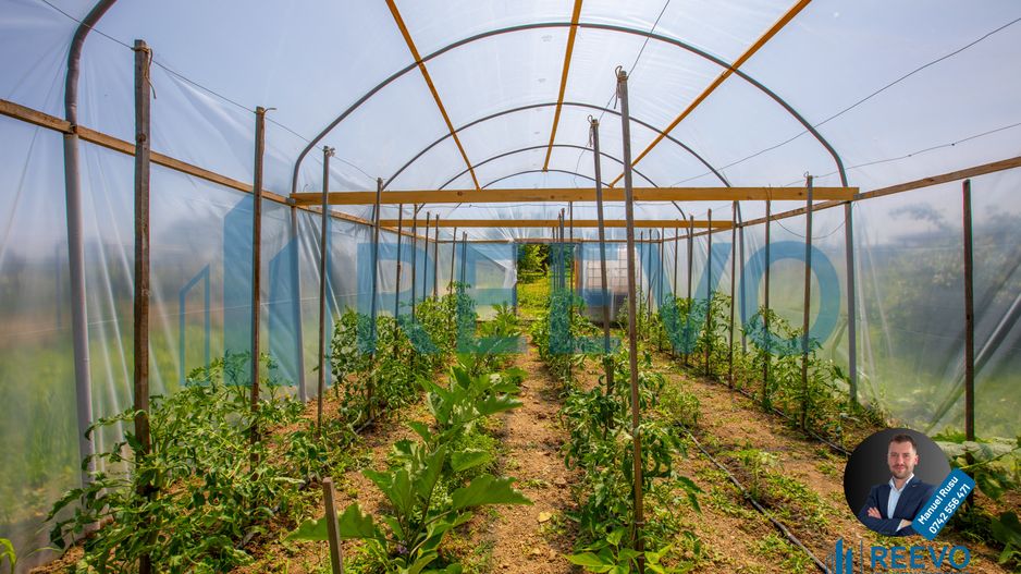 Casǎ de vânzare 200 mp în Letea Veche - Poză 33