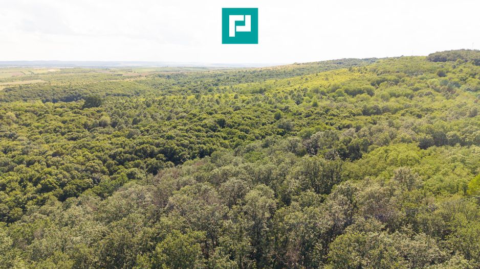 TEREN AGRICOL EXTRAVILAN  22.900 MP LIPOVA - Poză 12