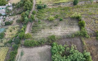Teren de vânzare – 15 ari în Nimoreni, r-nul Ialoveni - Poză 6