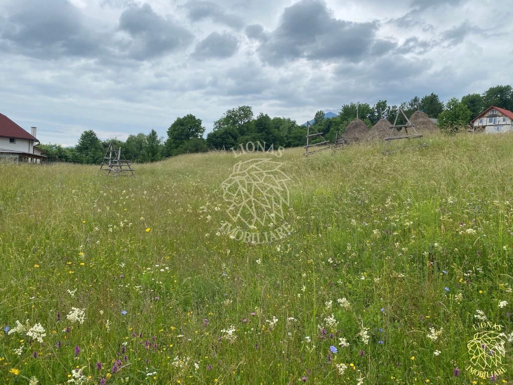 Teren Intravilan 3093 mp-ideal case/cabane/pensiune-Bistrita Bargaului - Poză 6