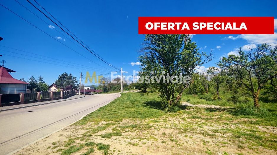 Teren intravilan 2.000 mp in Mioveni – Ideal pentru casa sau investitie! - Poză 1