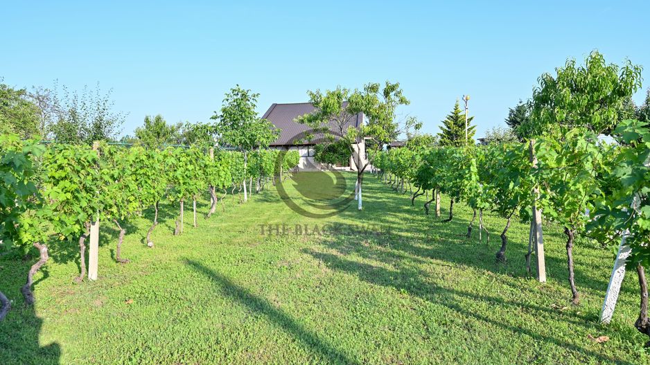 Casa cu piscina de vanzare | 3.300 mp teren | Urlati - Prahova - Poză 21