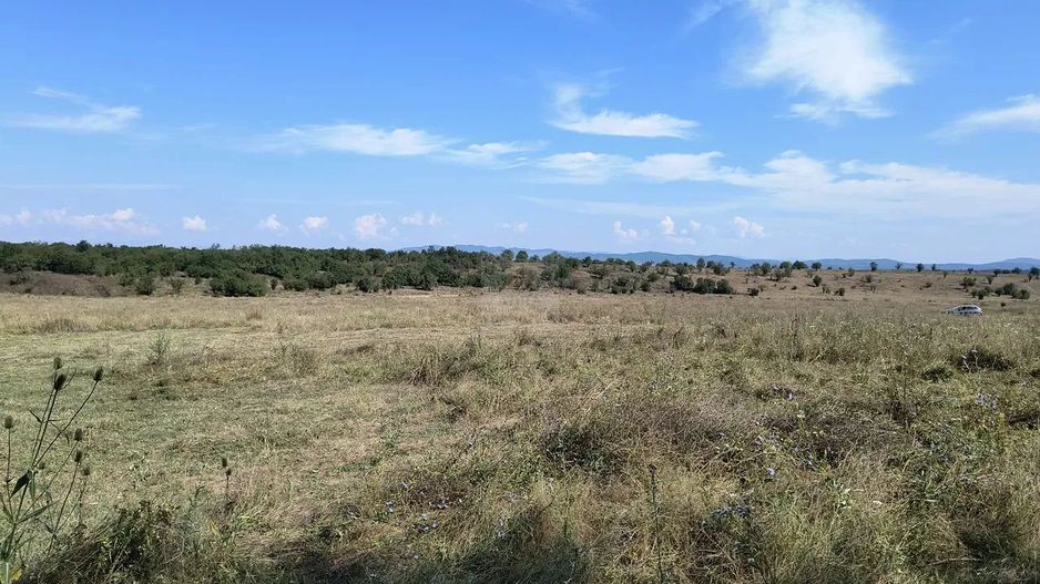 Teren intravilan langa padure - Poză 3