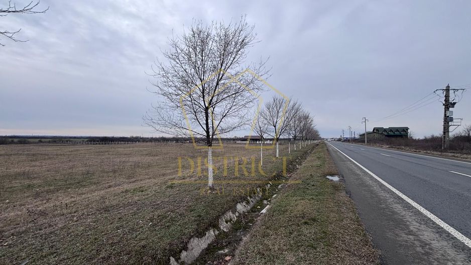 COMISION 0% Teren extravilan 1 ha | Recas - Poză 4