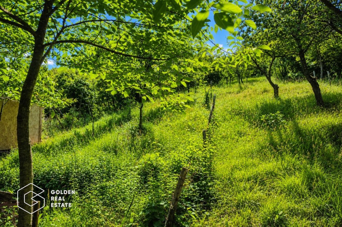 Teren intravilan, 1159 mp, localitatea Ghioroc - Poză 2