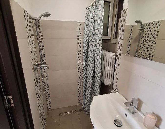 Apartament luminos Sala Palatului - Poză 9