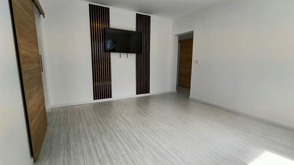 Ion Mihalache- Pta Chibrit- Calea Grivitei - Poză 2