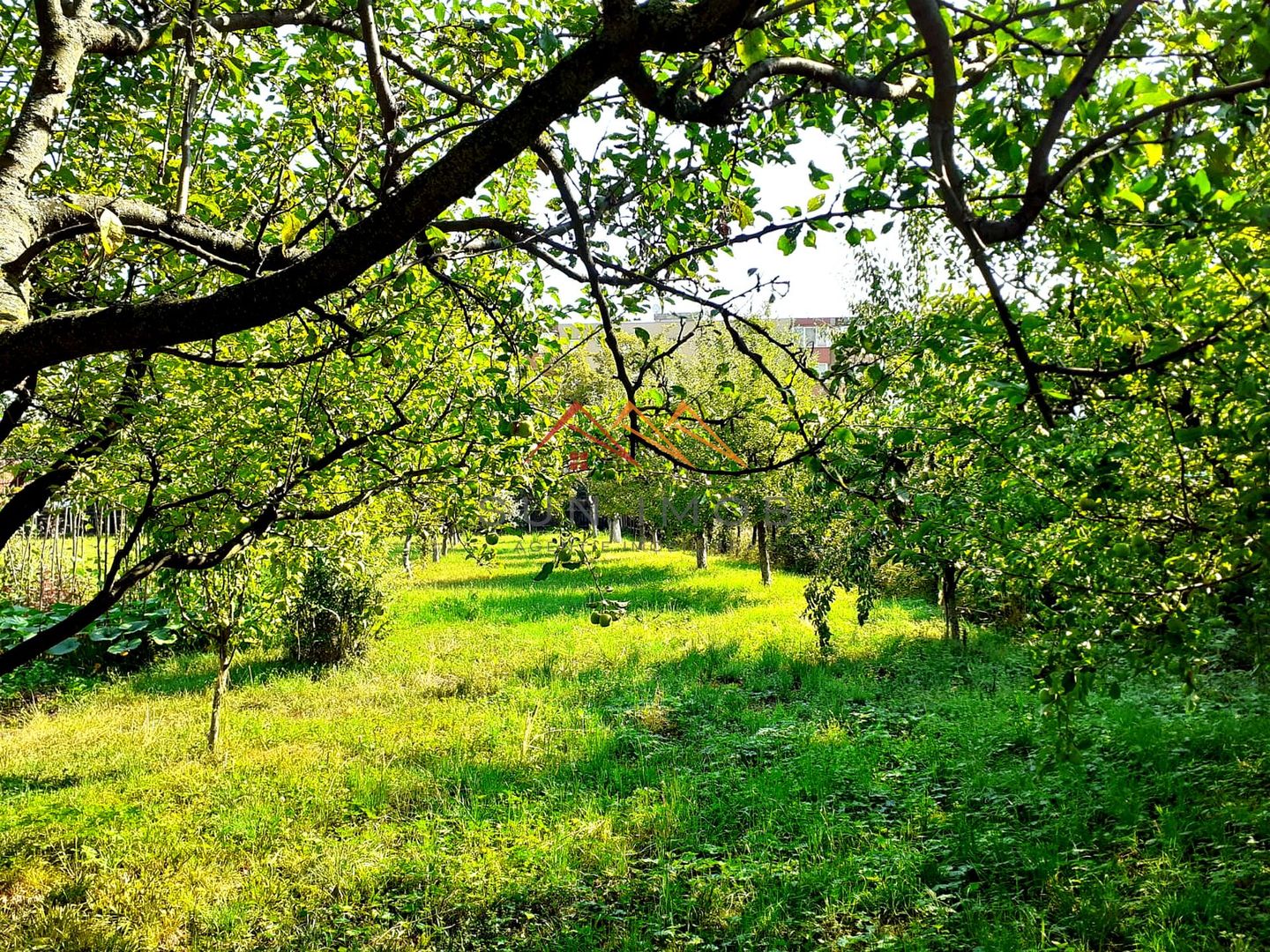 Casa 3 camere, teren 3625 mp, toate utilitatile, Sacele, Brasov - Poză 5