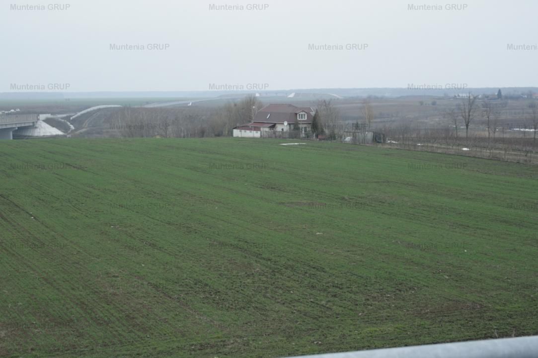 Moara Vlasiei, 5100 mp. teren intravilan, langa A3, toate utilitatile - Poză 7