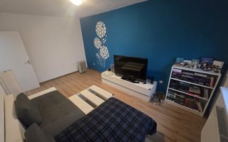 Apartament 3 camere decomandate pivnita Vasile Aron - Poză 11