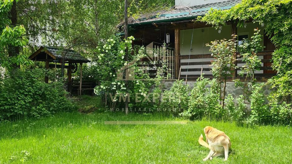 VILA 6 CAMERE TEREN, 825 MP, BEREVOIESTI, ARGES - Poză 6