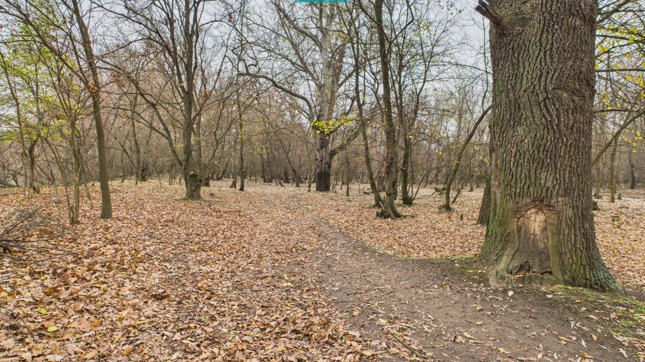 Teren spectaculos la  Periam Port - Poză 8