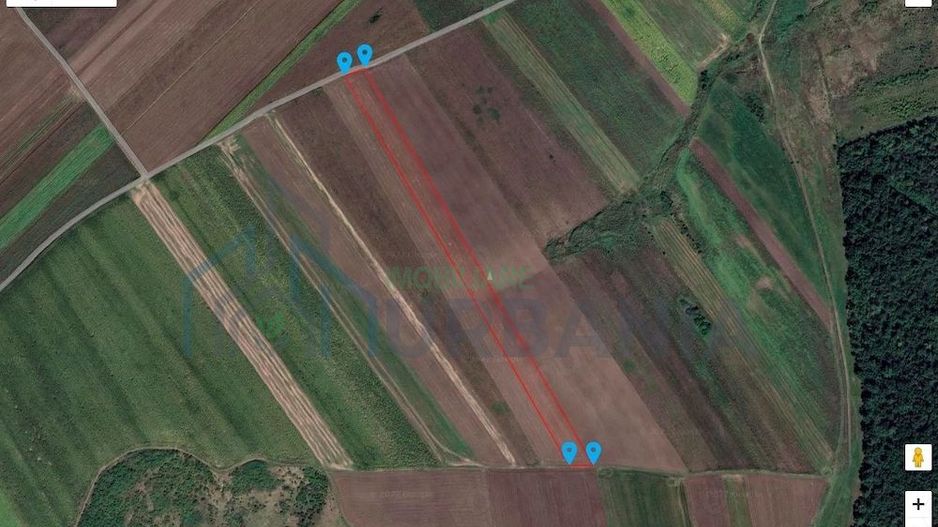 Teren extravilan 1,7 ha în Miroslava, sat Proselnici, zona Ferma Liliac - Poză 3