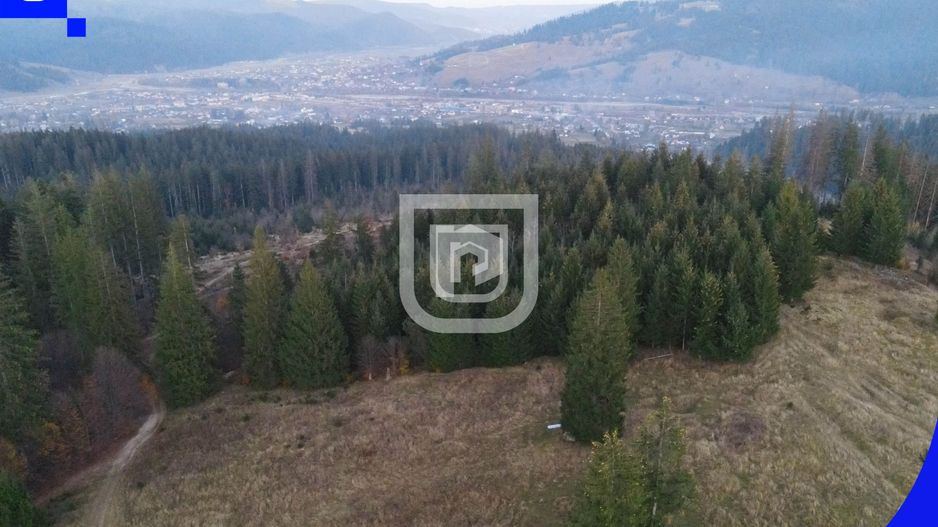 Teren situat in Frasin | BUCOVINA - Poză 4