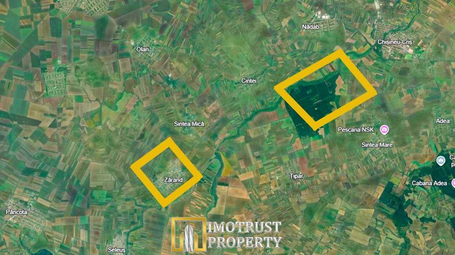 Teren agricol de vânzare în comuna Zărand, județul Arad – 34 ha - Poză 2