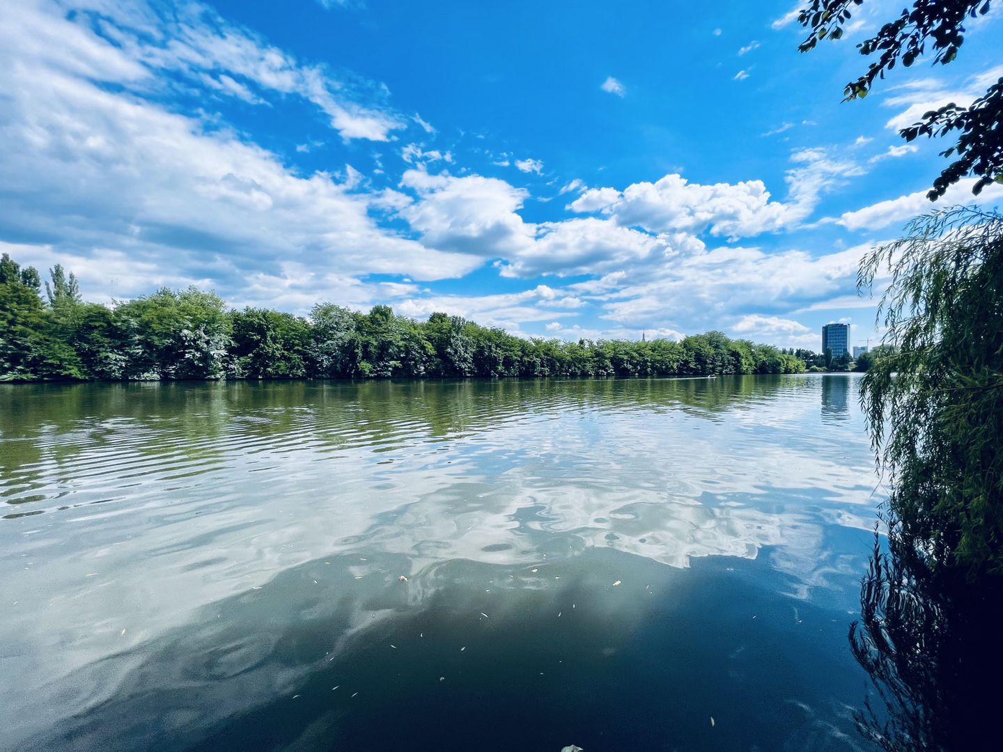 Teren 6000 mp pozitie deosebita lacul Baneasa adancime 140 m - Poză 1