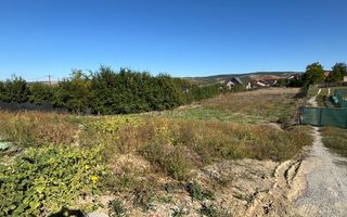 TEREN INTRAVILAN 1.000 mp, VASLUI - zona Moara Grecilor; - Poză 4