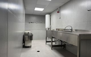 Spatiu Comercial 336 mp - Ultracentral, Piata Victoriei (Investitie) - Poză 2