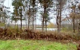 Vanzare vila individuala 8 camere | Curte 2360 mp | Corbeanca - Ostratu - Poză 15