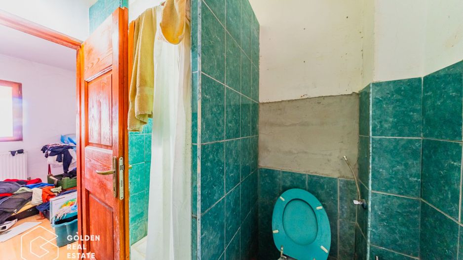 Casa situata in Pecica, 1602 mp - Poză 19