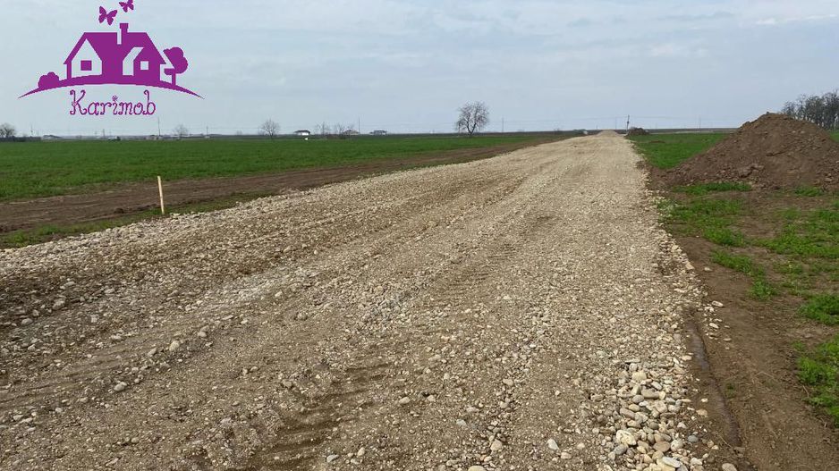 Teren industrial pentru hale - Poză 4