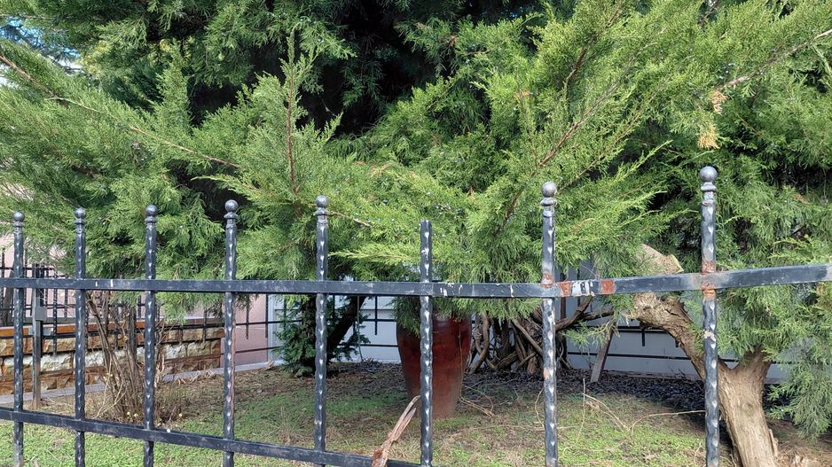 EXCLUSIVITATE | COMISION 0% | Casă 479 mp – ideală clinică medicală / activități - Poză 6