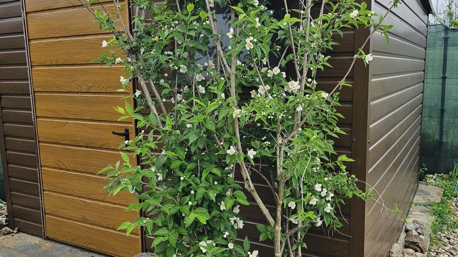 Casă P+1+pod și curte 908 mp – mobilata si utilata, Zero comision - Poză 14