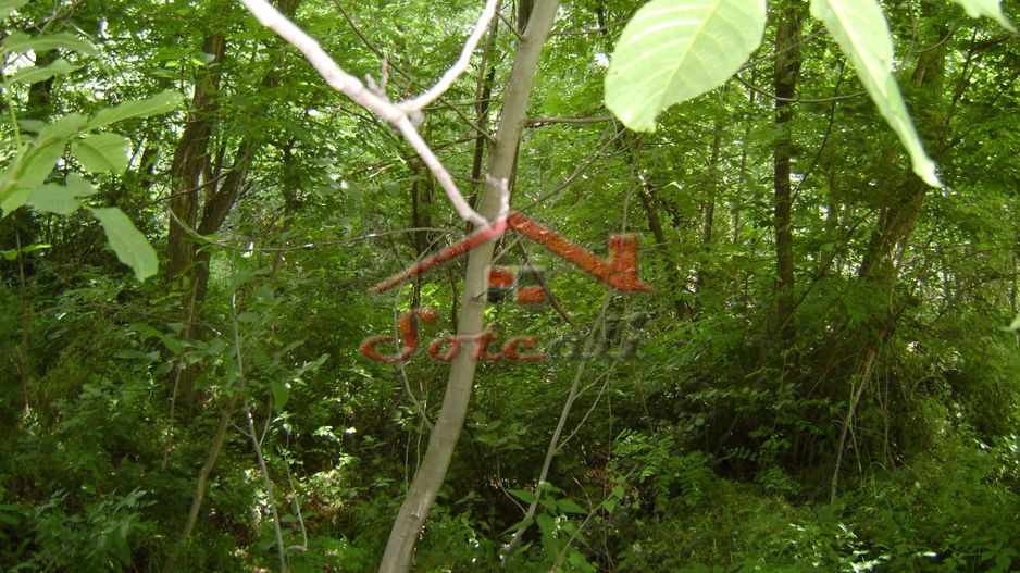 Teren de vanzare Cornu 3074 mp - Poză 8