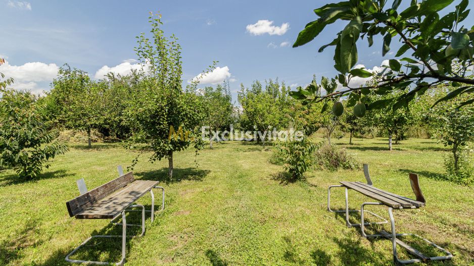Casă de vânzare Tâncăbești cu grădină, aproape de lac - Poză 28