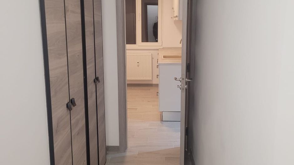 Apartament 2 camere de vanzare Drumul Taberei - Raul Doamnei - Poză 7